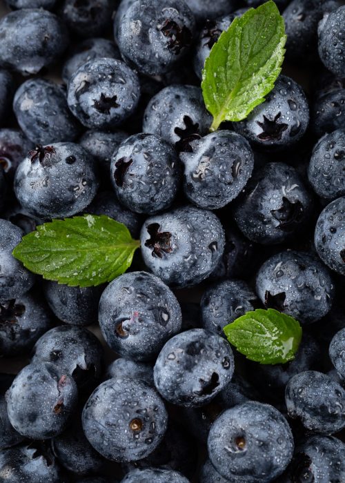 A closeup vertical shot of blueberries with water droplets and leaves